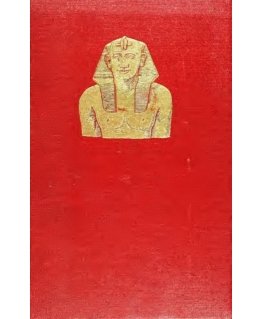 Sėdynės krepšys Jack Pack kišenė - juoda