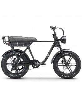 Elektrinis dviratis APE RYDER 20 A10 juodas