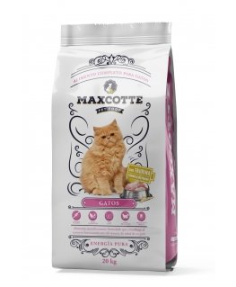 MAXCOTTE Кошки - сухой корм для кошек - 20кг