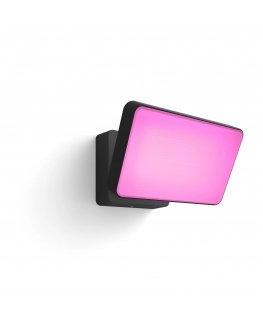 Philips Hue White and colour ambience Discover Outdoor Floodlight