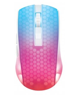 Deltaco Gaming GAM-145-W mouse Right-hand RF Wireless + USB Type-C Optical 10000 DPI