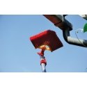 WOLF-Garten BW 25 M ANGLE BROOM