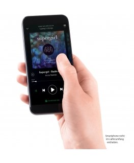 Technisat Viola антрацит