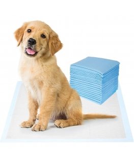 Vigo Pet Super-Absorbent Disposable Training Pads for Dogs & Cat