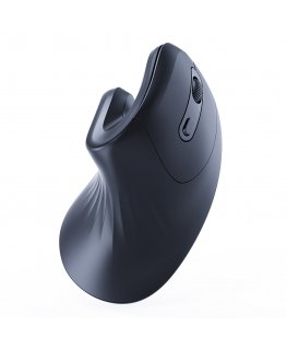 Gembird MUSW-ERGO-03 mouse Home Right-hand RF Wireless Optical 1600 DPI