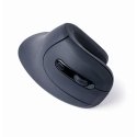 Gembird MUSW-ERGO-03 mouse Home Right-hand RF Wireless Optical 1600 DPI