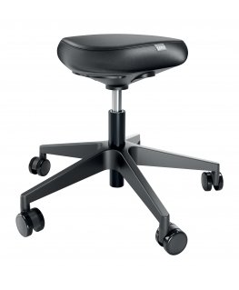 Leitz 65780095 kategoriseerimata