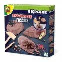 SES Creative Explore Excavate fossils