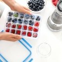 EMSA 514549 food storage container Ice tray Blue, Transparent 1 pc(s)
