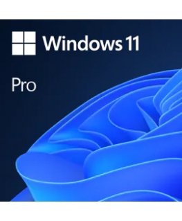 Microsoft Windows 11 Pro 1 license(s)