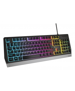 GENESIS Rhod 300 RGB keyboard Gaming USB QWERTY English Black