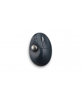 Kensington Pro Fit Ergo TB550 mouse