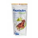Vetoquinol Flexadin Advanced Koira Purutabletti
