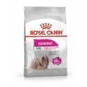 Royal Canin Mini Exigent 1kg Взрослый зелень Royal Canin Mini Exigent 1kg Взрослый зелень