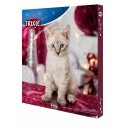 TRIXIE 9269 adventa kalendārs