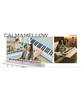 Sequential Oberheim TEO-5 Desktop