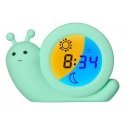 Alecto Simon Digital alarm clock Mint colour