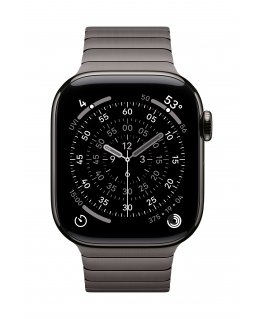 Apple 42mm Slate Link Bracelet