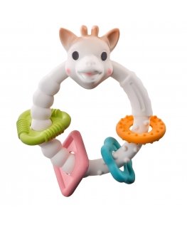 Vulli 220120 grabulītis