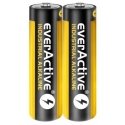 Everactive EVLR6S2IK household battery Single-use battery AA Alkaline