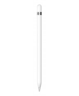 Apple Pencil (1st generation) adatinis pieštukas 20,7 g Balta