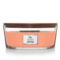 WoodWick Manuka Nectar wax candle Ellipse Fruity Orange 1 pc(s)
