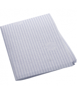 Electrolux MCFE48U Õhupuhasti filter