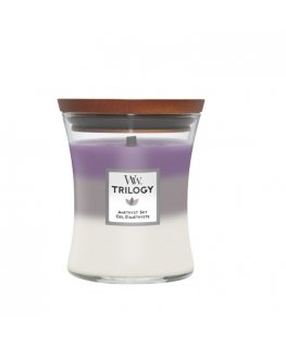 WoodWick Amethyst Sky Trilogy wax candle