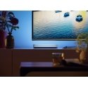Philips Hue White and colour ambience Play valgusti üksikpakend