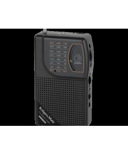 Nešiojama analoginė radijo stotelė Kruger & Matz modelis KM0829