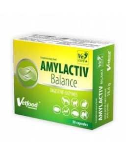 VETFOOD Amylactiv Digest - supplements for dogs and cats - 120 pcs