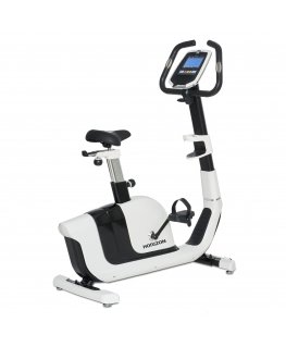 Horizon Fitness Comfort 8.1 Stationary Bicycle