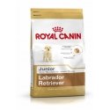 Royal Canin Labrador Retriever Junior 12 kg Щенок Кукуруза, Птица, Рис