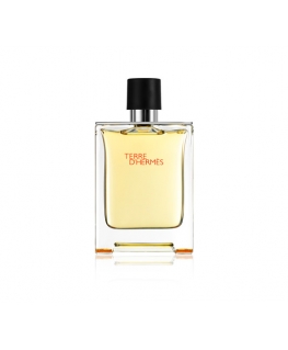 Hermes Terre d'Hermès 100ml