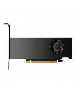 PNY NVIDIA RTX 2000 Ada Generation 16 GB GDDR6