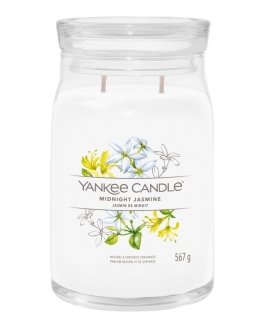 Yankee Candle Midnight Jasmine wax candle Cylinder Jasmine, Neroli White 1 pc(s)