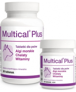 Dolfos MULTICLUS PUS 90 tabletti