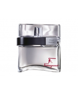 Salvatore Ferragamo F 100 ml Mehed