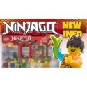 LEGO NINJAGO 71866 Ninja Juhlanäyttely