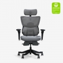 Flexispot Ergonomic Chair BS3