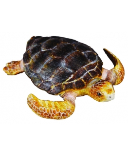Collecta Turtle Figure (M)