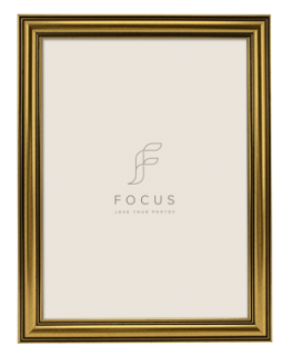 Fotoraam Focus Holly Gold 10x15