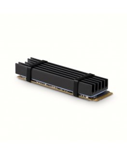 Axagon CLR-M2L10 computer cooling system M.2 NVMe SSD, Solid-state drive Heatsink/Radiator Black 1 pc(s)