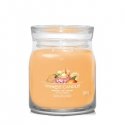 Yankee Candle Mango Ice Cream vahaküünal Silinder 1 tk Yankee Candle Mango Ice Cream vahaküünal Silinder 1 tk