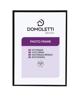 Рамка для фотографий Focus Willow Oak 21X29,7 (A4)