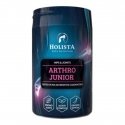 Holista Arthro Junior 200g