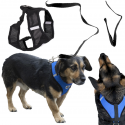 RoGer Adjustable non-pressure dog harness with leash XL