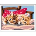 Ravensburger CreArt Two Cuddly Cats Color by numbers kit