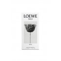 LOEWE Perfumes Solo Ella 50 ml Sievietes
