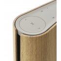 Bang & Olufsen Beosound Emerge Ruda Vielinis ir Bevielis